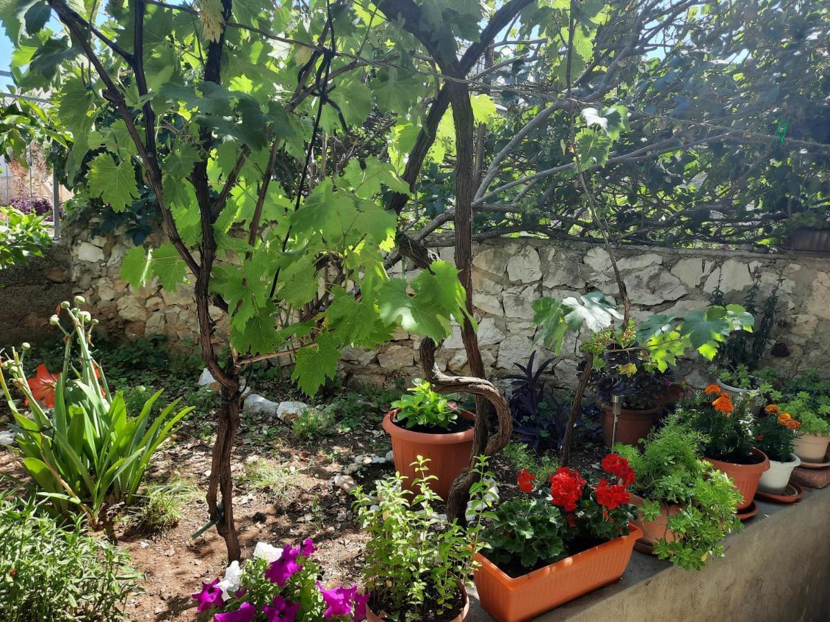 Apartment Ema Trogir Ngoại thất bức ảnh