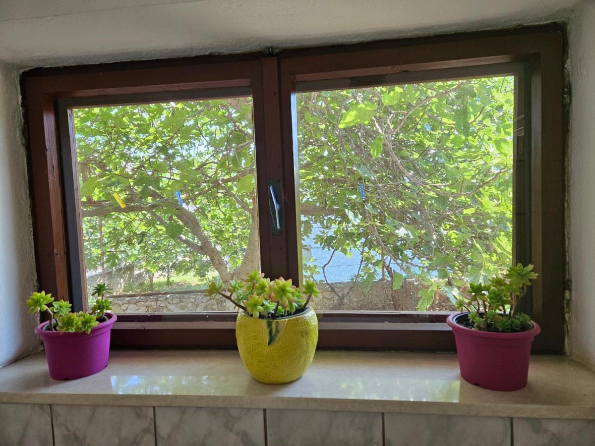 Apartment Ema Trogir Ngoại thất bức ảnh